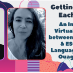 Getting to Know Each Other: An Innovative Virtual Exchange with
